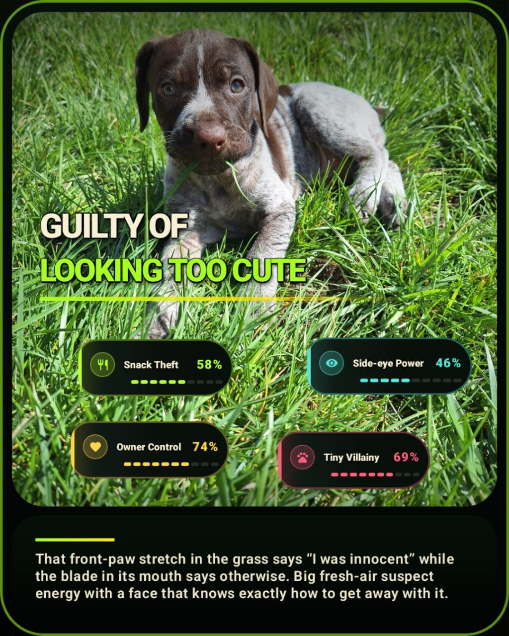 Pet Roast card example
